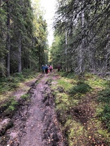 Sieniretki Naisten Pankki Rovaniemen kanssa syyskuussa 2019. Kuva: Naisten pankki, Marjut ja Carita