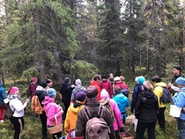 Sieniretki Naisten Pankki Rovaniemen kanssa syyskuussa 2019. Kuva: Naisten pankki, Marjut ja Carita